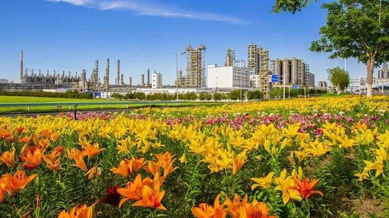 建筑用高分子材料：种类与特性解析**